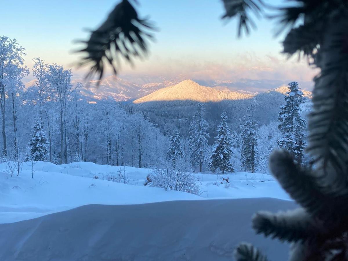 Konak 1400 Tara Mokra Gora Eksteriør bilde